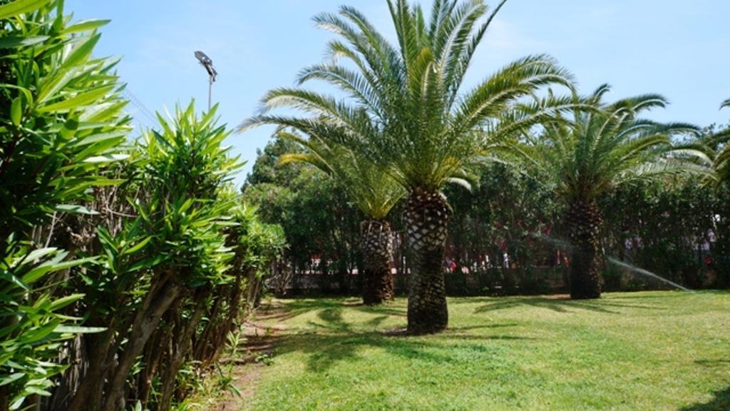 Patio Andaluz Apartment Denia Ngoại thất bức ảnh